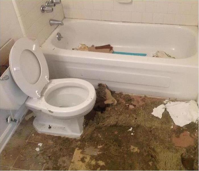 water and mold damage in bathroom